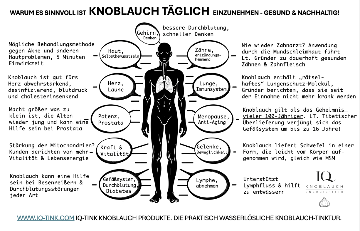 FIT FÜR DEN TAG - IQ TAGES-TINK® 20ml Zitrone